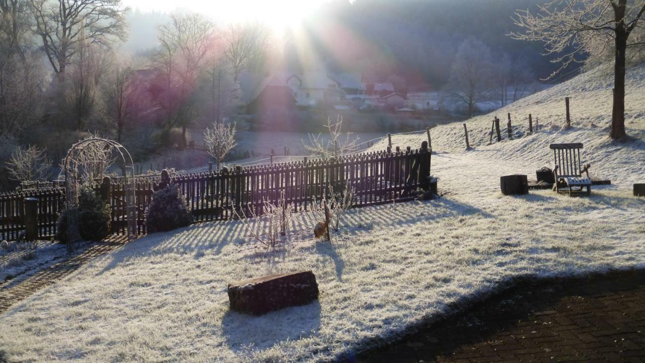 Ferienhaus Broche Hilchenbach Esterno foto